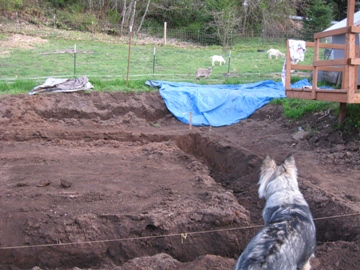 Shavora inspects - 4/18/2009